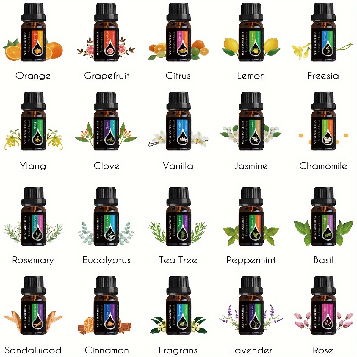 20 ピース/セットクラシックブランドエッセンシャルオイルセ - Essential Oil Blend のレビューと価格