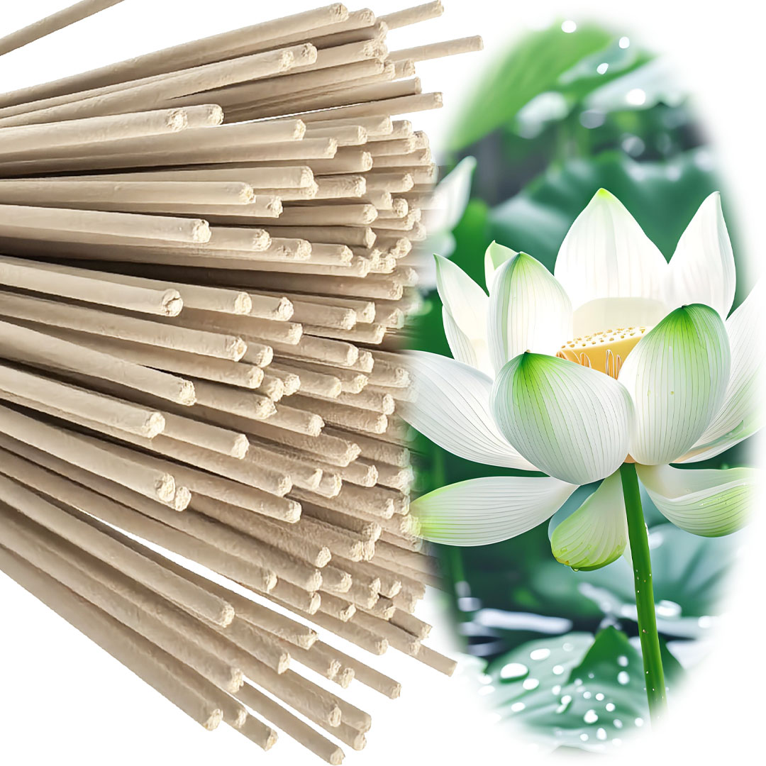 高品質のオフホワイト8.7インチ白蓮香、天然素材で作られ、蓮 - Smokeless Incense Stick のレビューと価格